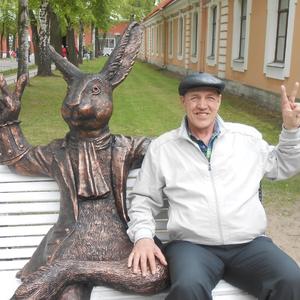 Александр Ившин, 67 лет, Красноуральск