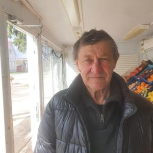 Владимир, 69 лет, Белоомут