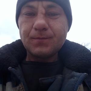 Артемий, 35 лет, Ростов-на-Дону