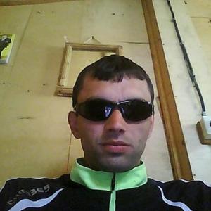Дмитрий, 42 года, Малая Вишера