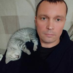 Алексей, 41 год, Киров