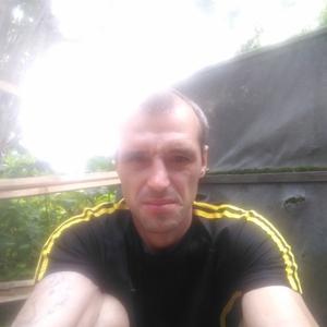 Александр, 40 лет, Выльгорт