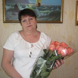 Людмила, 64 года, Новомосковск