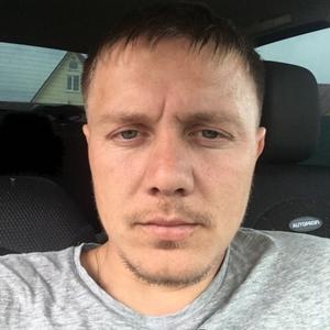 Юрий, 34 года, Чехов