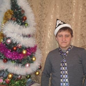 Сергей Задойный, 39 лет, Мытищи