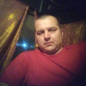 Дима, 37 лет, Тольятти