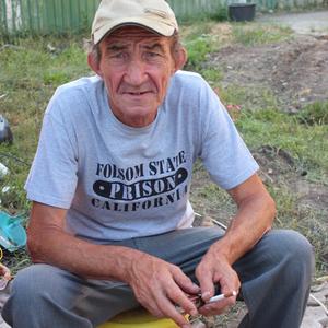 Балабаев Анатолий, 65 лет, Воронеж