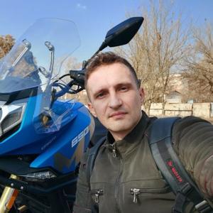 Максим, 35 лет, Ташкент