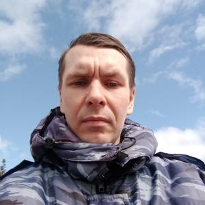 Владимир, 34 года, Вологда