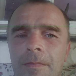Виктор, 43 года, Алексеевка