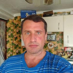 Виктор Прохоров, 46 лет, Подольск