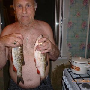 Павел, 67 лет, Москва