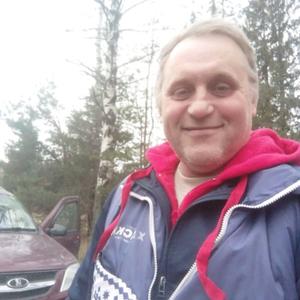 Дмитрий Иванов, 53 года, Владимир
