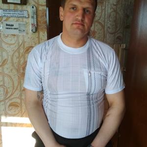 Николай, 41 год, Архангельская