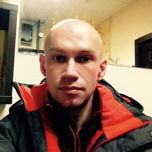 Николай, 31 год, Ковдор
