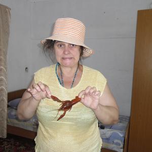 Татьяна, 52 года, Серов