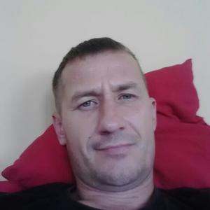 Дмитрий, 42 года, Волгоград