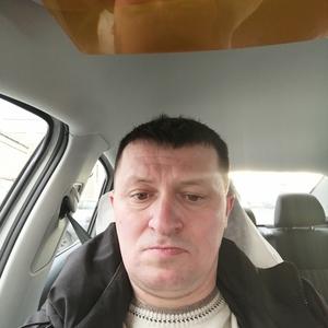 Александр, 43 года, Кострома
