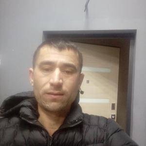 Хуршед, 34 года, Калининград