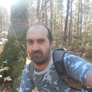 Виктор Дударев, 45 лет, Барнаул