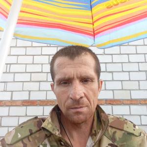 Леонид, 45 лет, Новосибирск