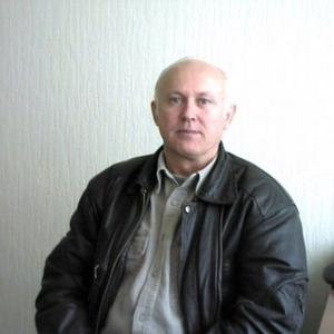Владимир, 74 года, Волгодонск