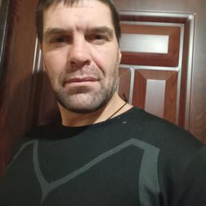 Дмитрий, 41 год, Иваново
