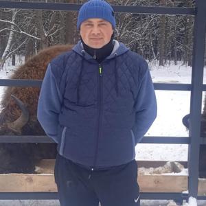 Игорь Чеканов, 42 года, Навля