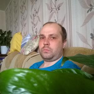 Андрей, 37 лет, Чайковский
