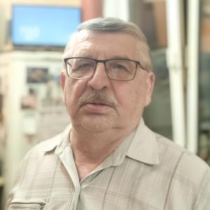Александр, 67 лет, Красноярск