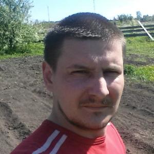 Сергей Горников, 37 лет, Томск