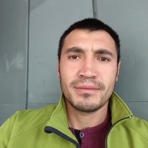 Петя, 35 лет, Сургут