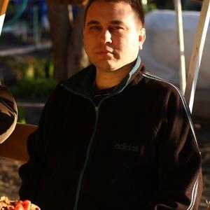 Бабков Сергей, 48 лет, Липецк