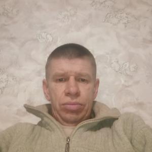 Владимир, 48 лет, Тула