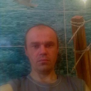 Aleksandr, 39 лет, Кохма