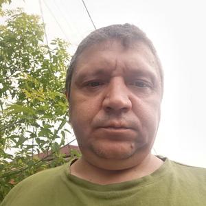 Андрей Артёмов, 45 лет, Новосибирск