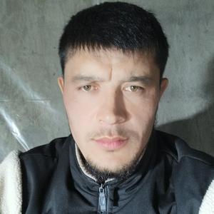 Шер, 32 года, Иркутск