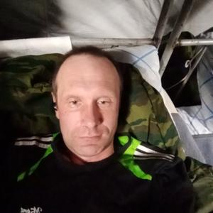 Владимир, 44 года, Алексеевка