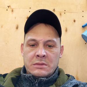 Василий, 39 лет, Тобольск
