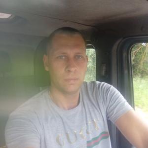 Николай, 39 лет, Тула