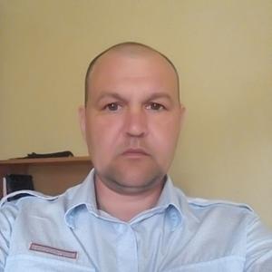 Фёдор Сумкин, 43 года, Киров