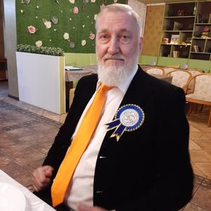 Николай, 64 года, Зеленоградск