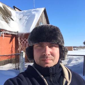 Андрей, 43 года, Шаховская
