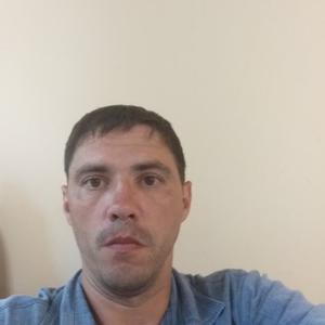 Роман, 38 лет, Михайловский