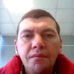 Александр, 41 год, Волжск