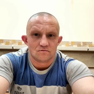 Александр, 42 года, Петропавловск-Камчатский