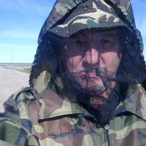 Анатолий, 71 год, Краснодар