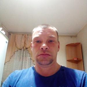 Николай, 43 года, Ставрополь