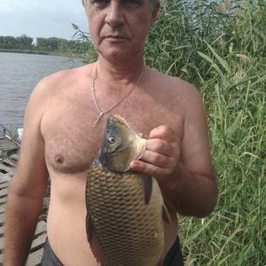 Парни в Донецке: Алпатов Виктор, 63 - ищет девушку из Донецка