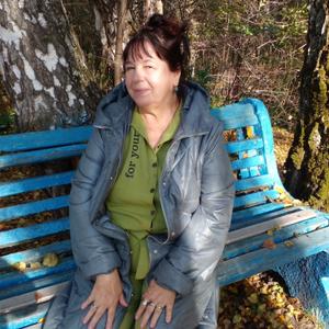 Наташа, 61 год, Красноярск